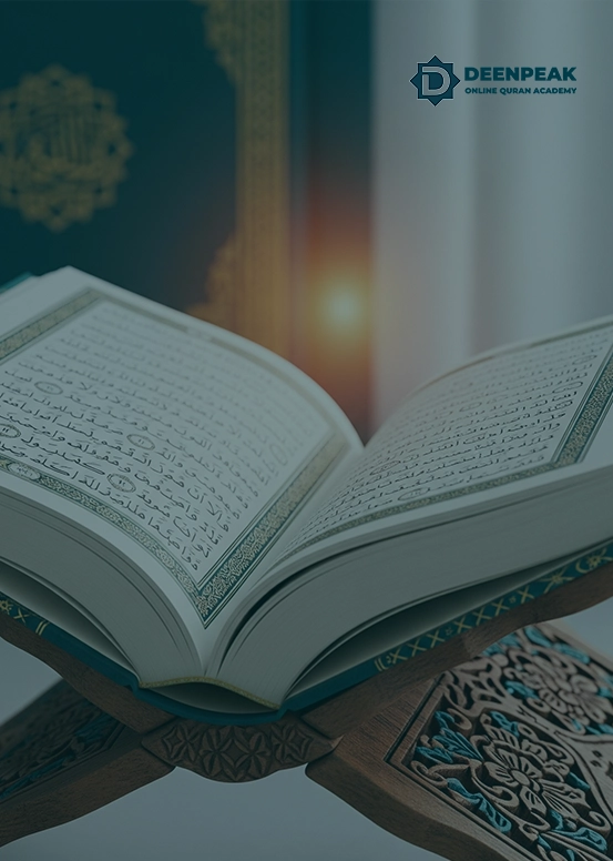 Image hover effect image