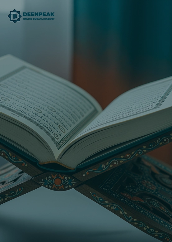 Image hover effect image